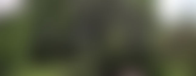 Φωτ.: Μιχάλης Βλαστάκης Το ναΰδριο των Αγίων Αποστόλων της Οινόης