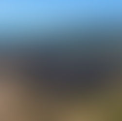 Ο καλοκαιρινός επίλογος - απολογισμός της μεγάλης φωτιάς στο βάλτο του Σχινιά {εικόνες}