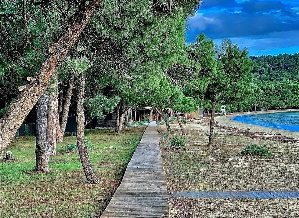 Η παραλία "Κουκουναριές" στη Σκιάθο