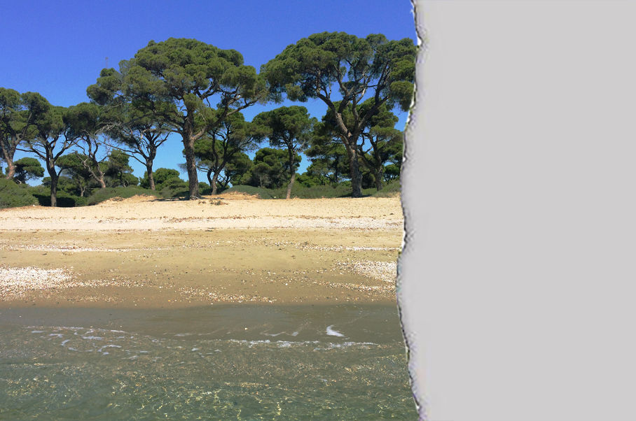 Ψηφίστηκε το άρθρο 219 | Το παραθυράκι για "ήπια" οικοδόμηση στο Εθνικό Πάρκο Σχινιά