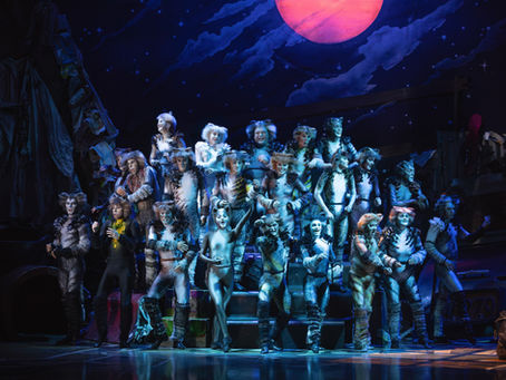 Cats - The Musical: An experience worth admiring