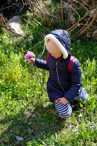 Το μονοπάτι σε γενικές γραμμές περιτριγυρίζεται από χαμηλή βλάστηση ενώ τα αγριολούλουδα και τα άγρια χόρτα έχουν την τιμητική τους {Μεταλλεία Γραμματικού}