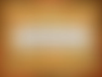 South Florida - Fall 2025