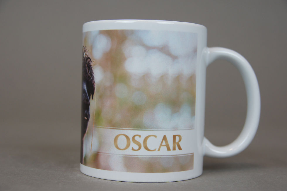 Miniaturbild: Alpaka-Motiv Kaffeetasse "Oscar"