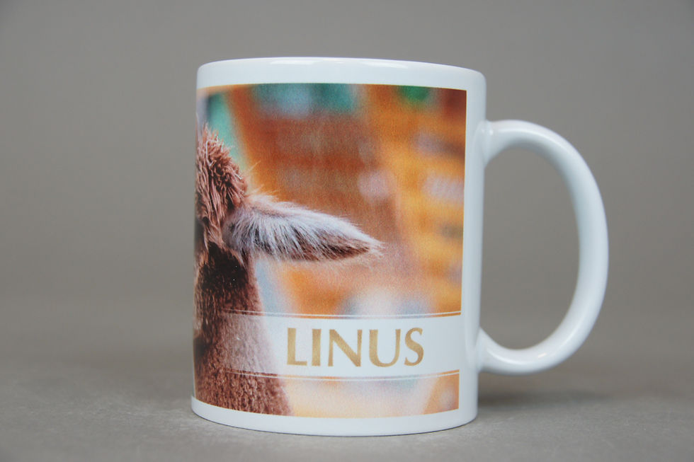Miniaturbild: Alpaka-Motiv Kaffeetasse    "Linus"