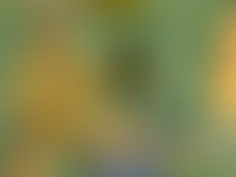 In the Translator's Workshop: Featuring Victoria Moul on a Short Poem from the Subhāsitaratnakosha