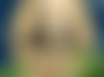 The Jane Goodalls: Women in Science Defying the Odds