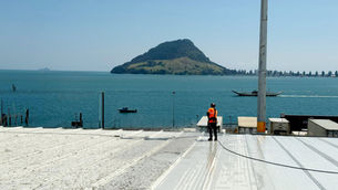 Industrial Roof Maintenance: Protecting Assets at the Port of Tauranga
