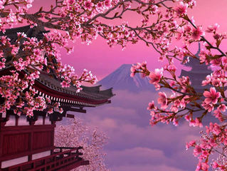 DOJO KUN: Princípios Morais, Éticos e Espirituais do Guerreiro