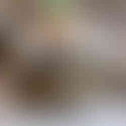 Brass Plated Colosseum Coffee Table