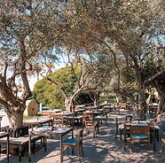 OUZERI RESTAURANT PAPHOS