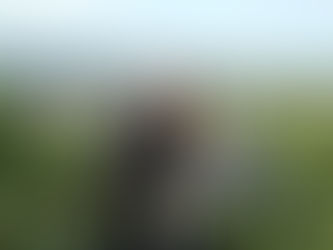 Rendez-vous with Nico