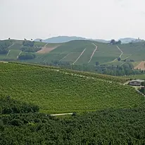 IMG_20230619_092119_723.jpg