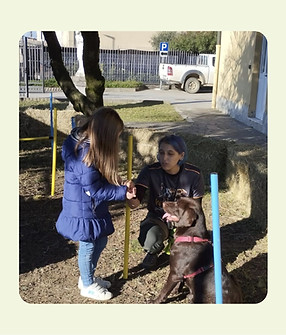 WhatsApp Image 2025-12-08 at 17.56.19.jpeg