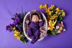 Beautiful baby girl in dark purple pajamas and flower bonnet laying in white basket surrounded by dark purple and yellow flowers. Bold and bright newborn photography at Key West photography studio. 