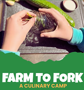 Culinary for Kids