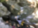 image0 (1).jpeg