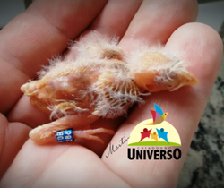 16174530_1838894873052089_4500440893270676969_n