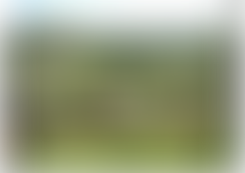 Introduction and La Passeggiata