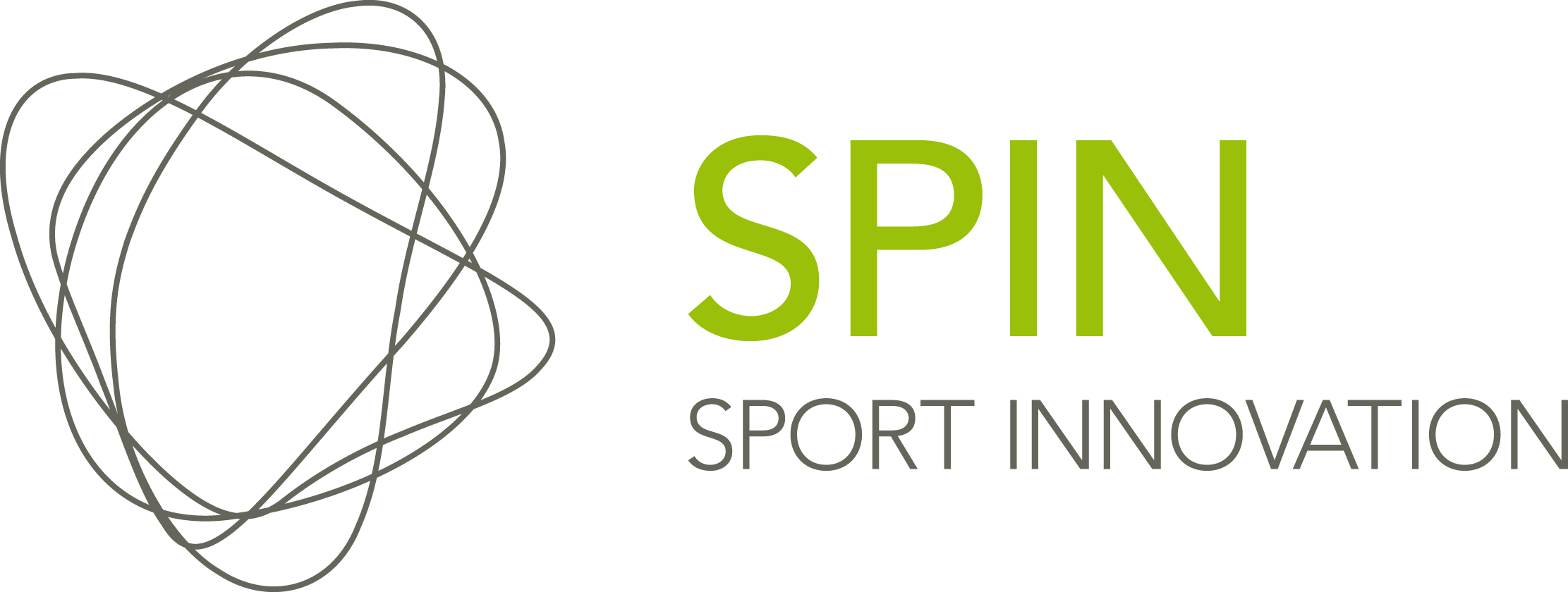SPIN_Logo_grau-gruen_PANTON.gif