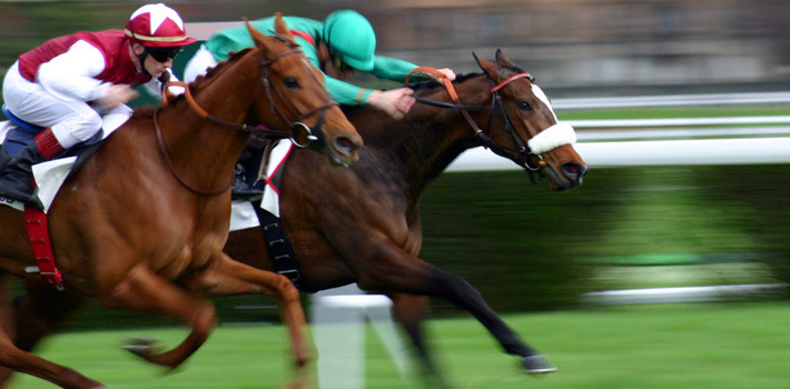 2022 Horse Racing Results Profiler Racing Software Melbourne 2022 Horse Racing Results Profiler Racing Software Melbourne