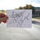 Thumbnail: Kingsport, TN | City Limits