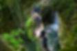 image00054.jpeg
