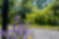 DSCF0940.jpg