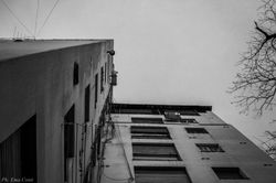 DSC_0606