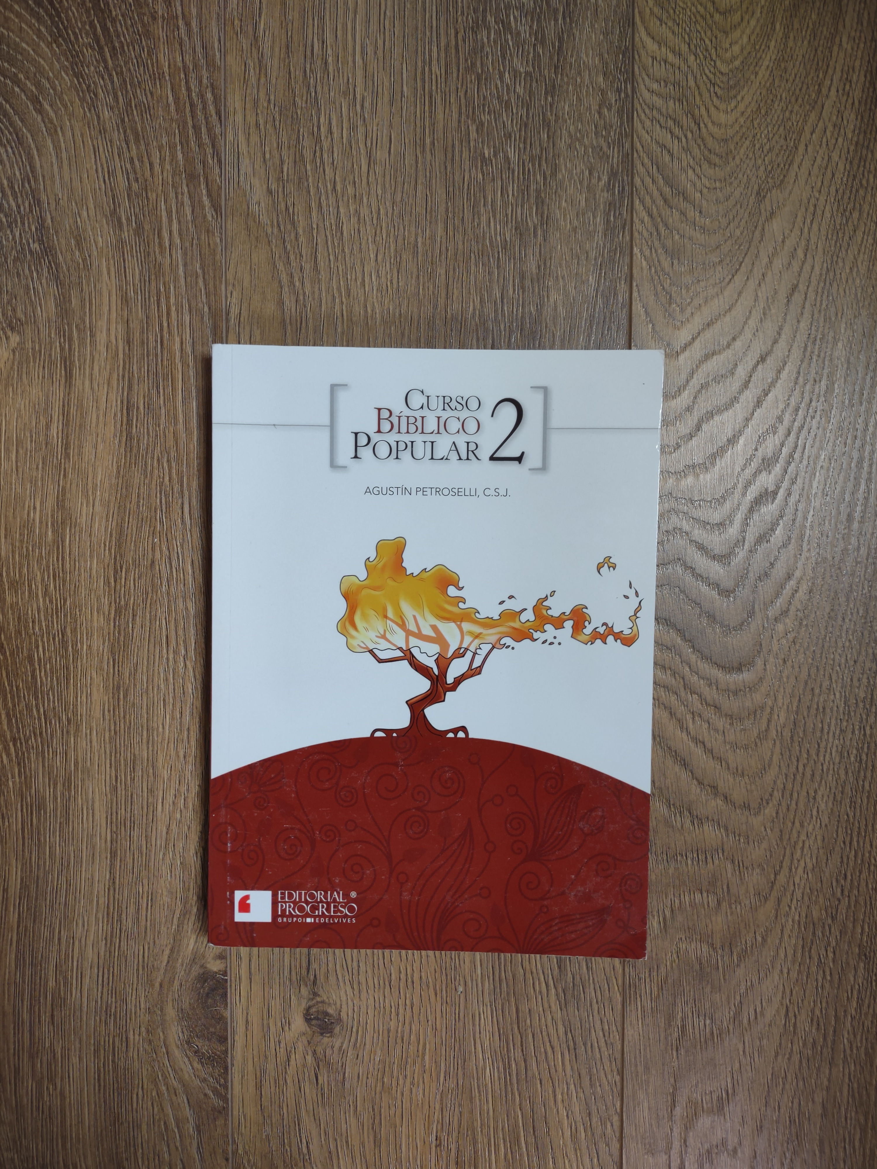 Curso Biblico Popular 2