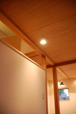 ラワン合板の天井