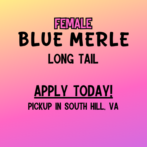 Thumbnail: RAVEN3GIRL2