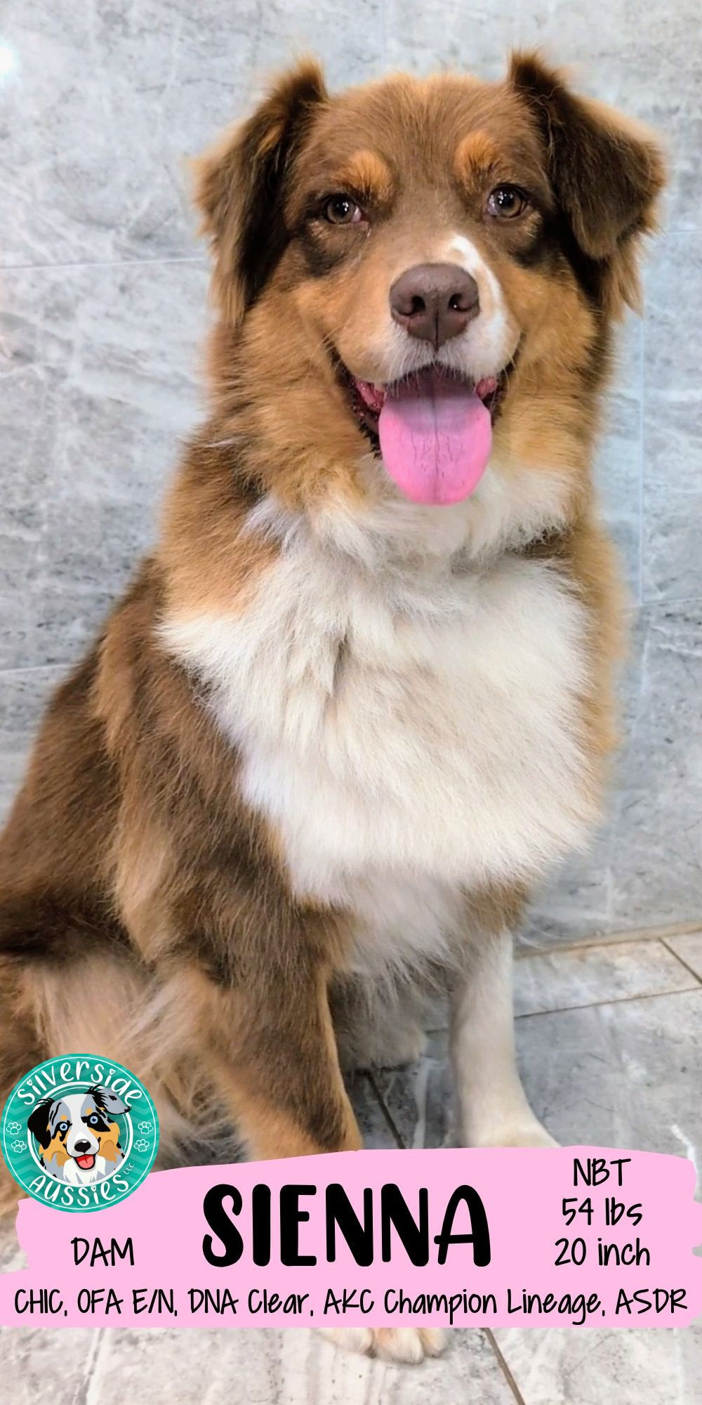 SIENNA