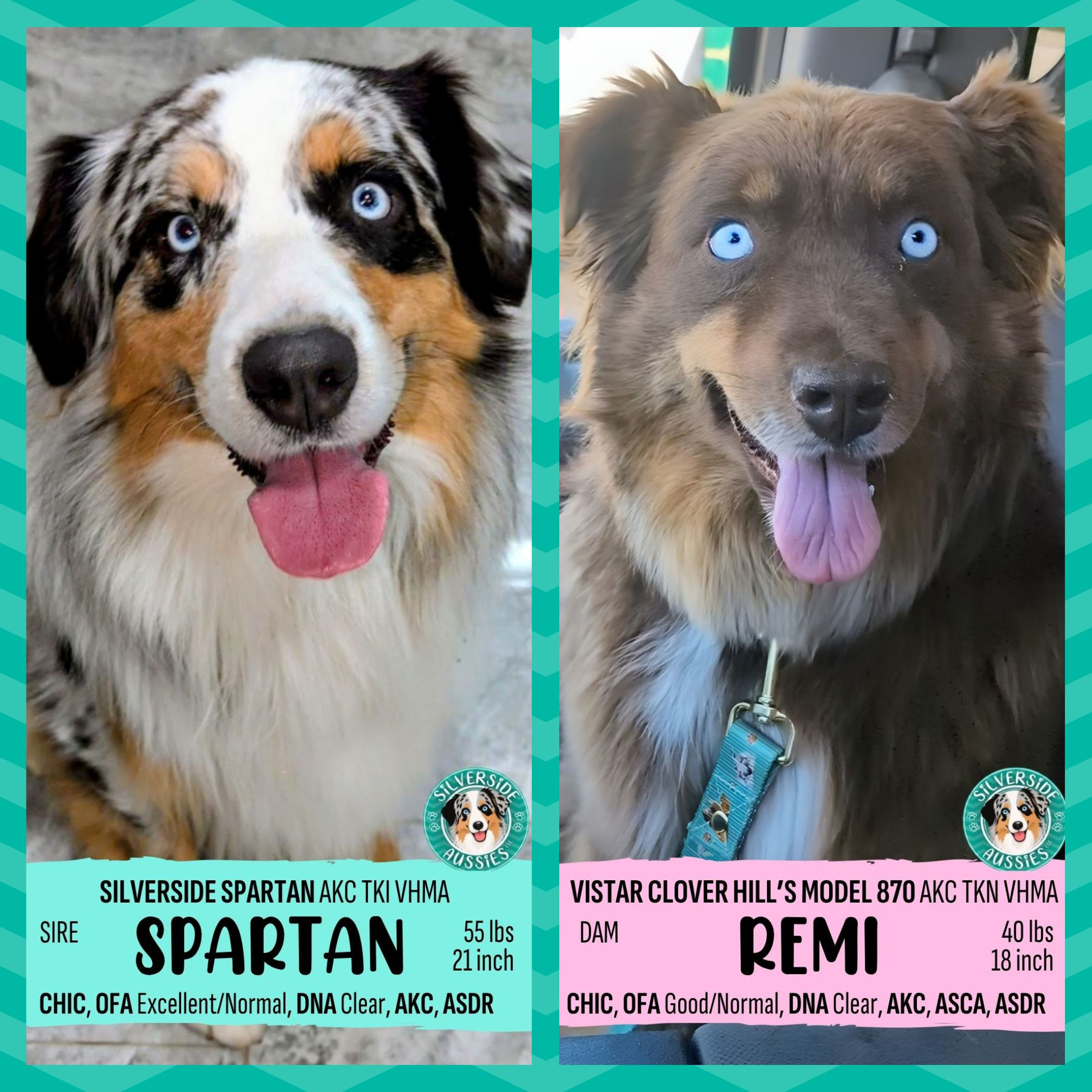 🧸REMI+SPARTAN🩵