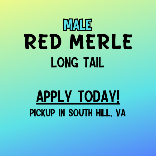 Thumbnail: JASMINE2BOY1