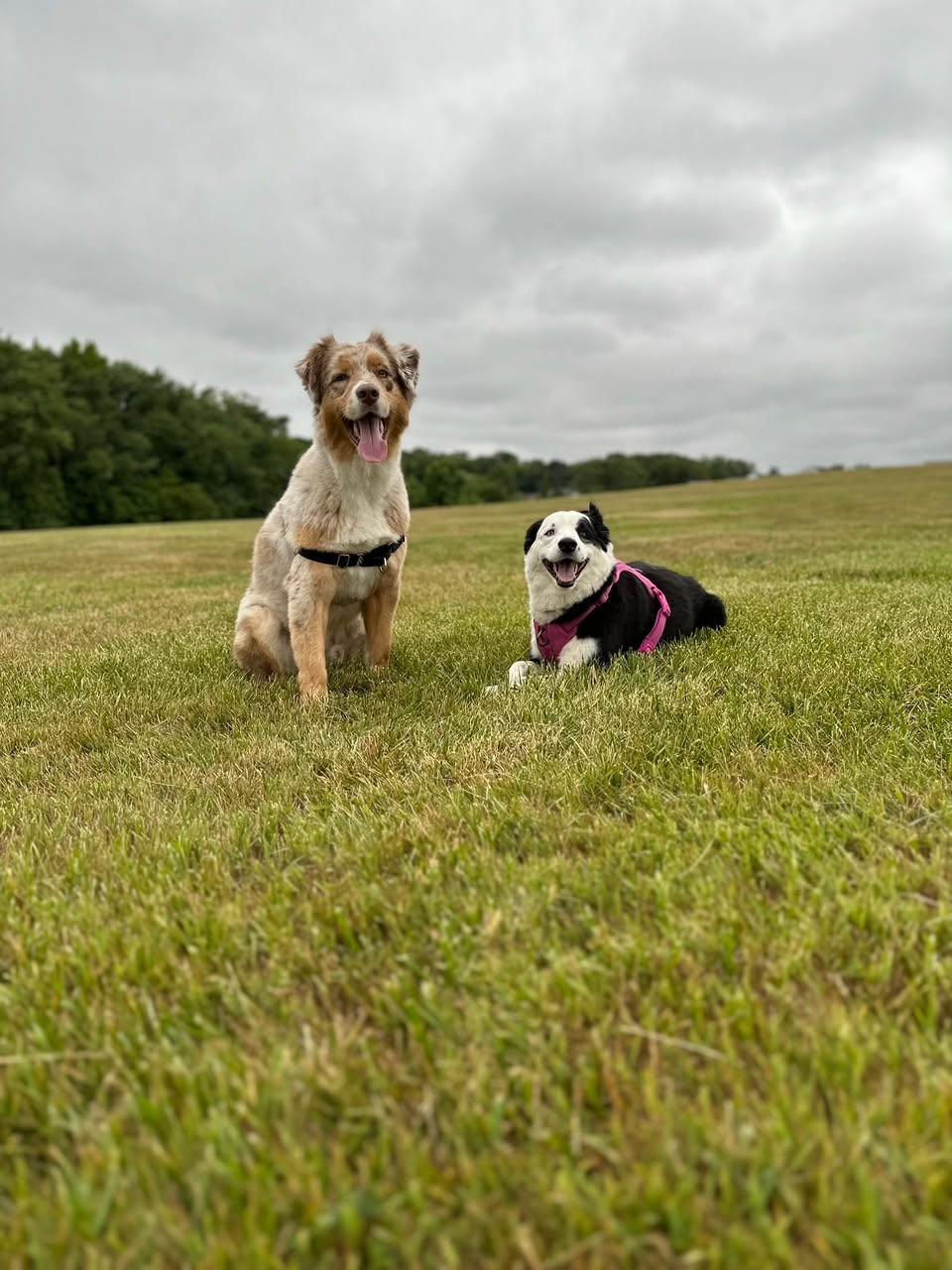 GRACE and OSCAR