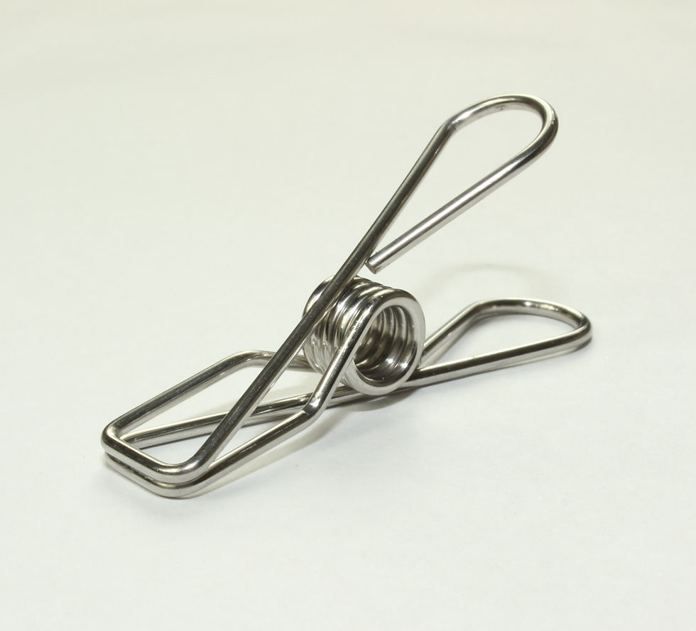 Thumbnail: EXTRA LARGE Coloured Stainless Steel 316 Marine Grade Clothes Pegs