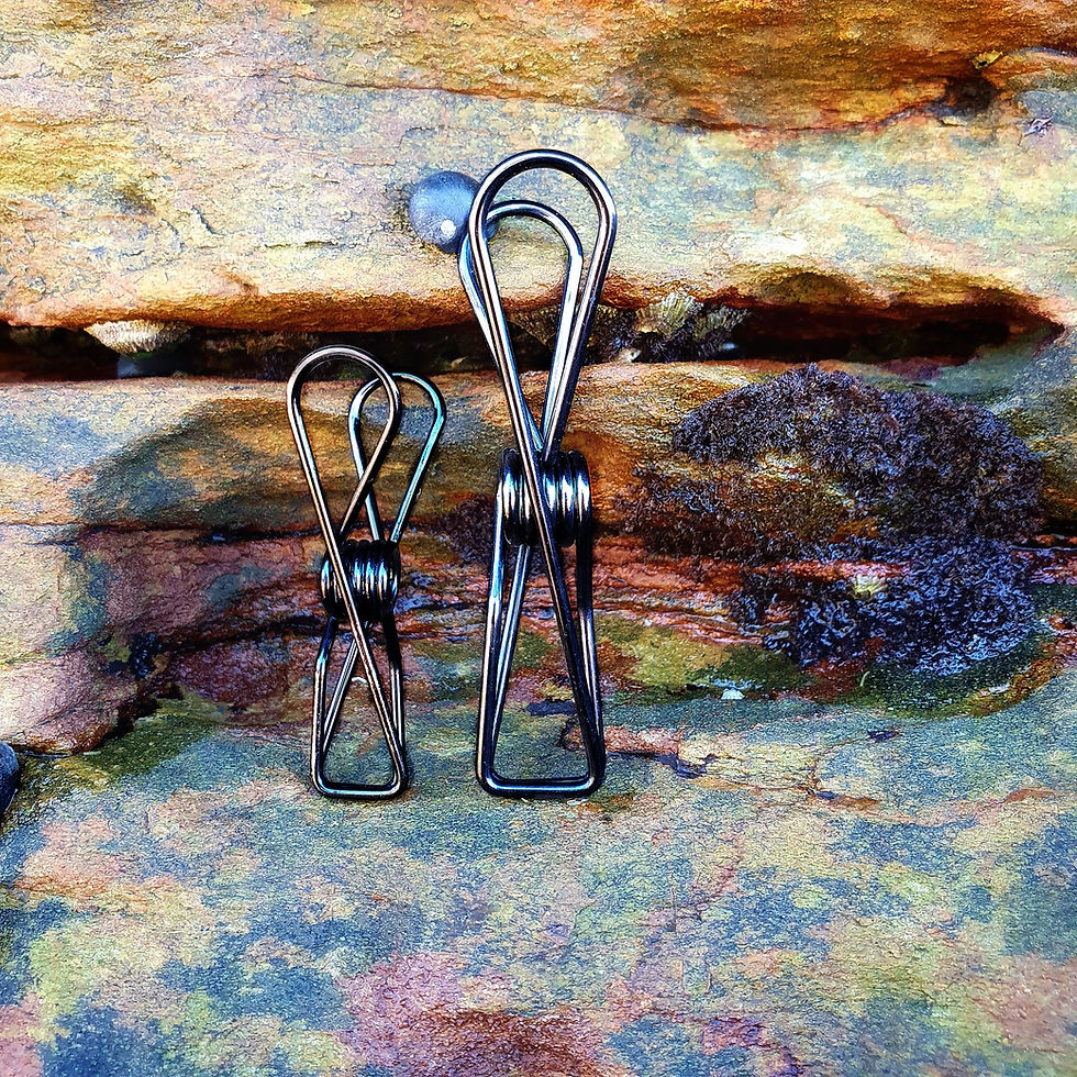 Thumbnail: Coloured DUAL Pack 316 Stainless Steel Pegs 40 Regular & 10 Extra Large Pegs