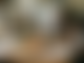 Instant Replay: What We Learned with Lindsay Rayball (So. Much. Value.)