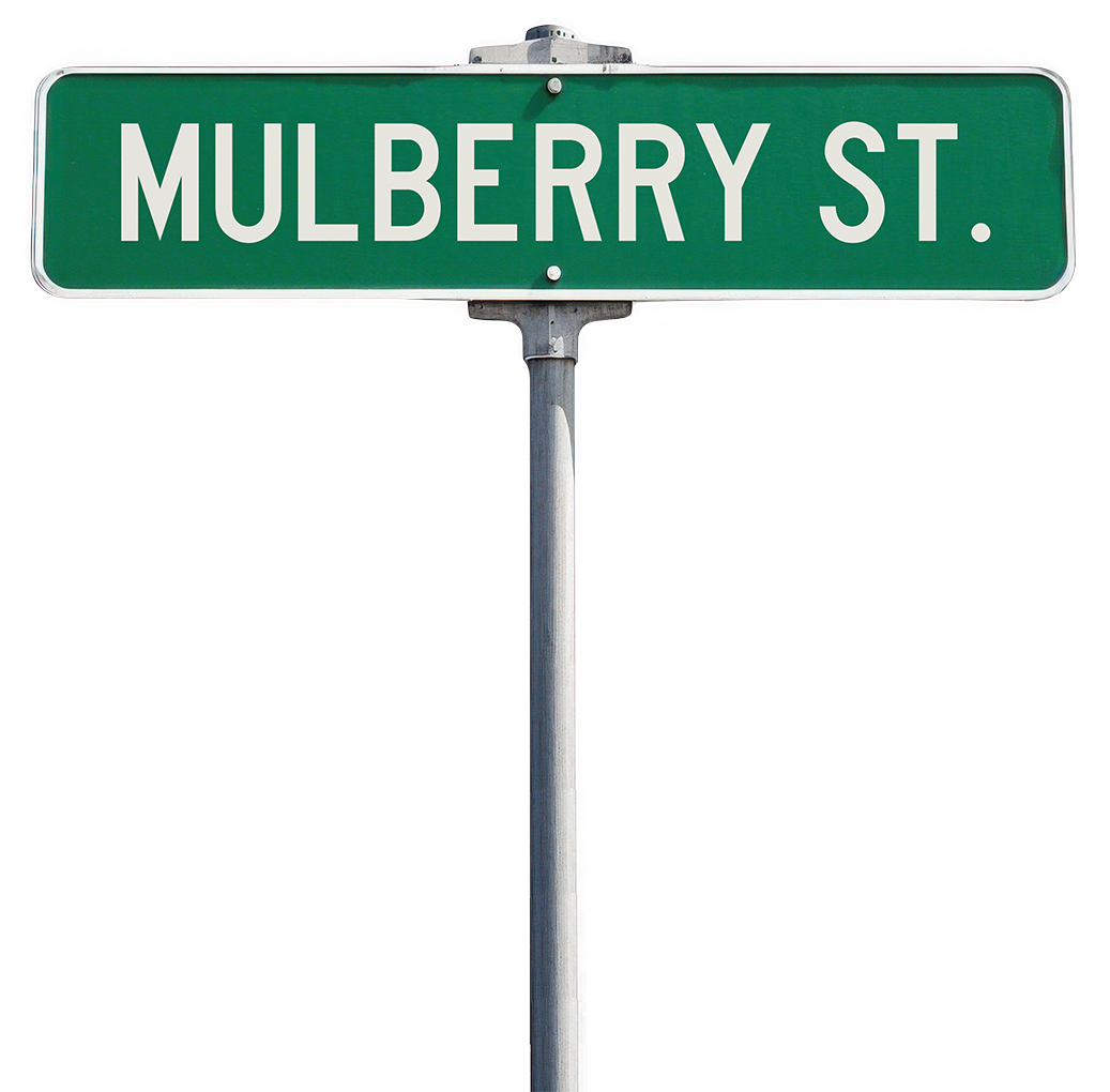 Street Sign With Long Pole.png