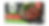 Marbled Steak_Square_Optimized_edited.png