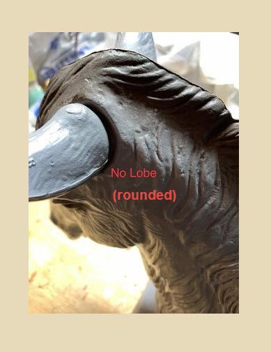 Thumbnail: TPI Donkey ear