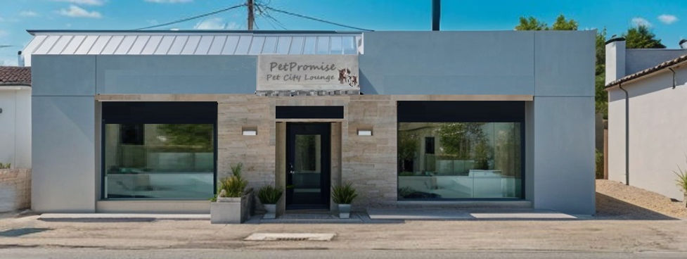 PetCityLoungeAIWide cropped.jpg
