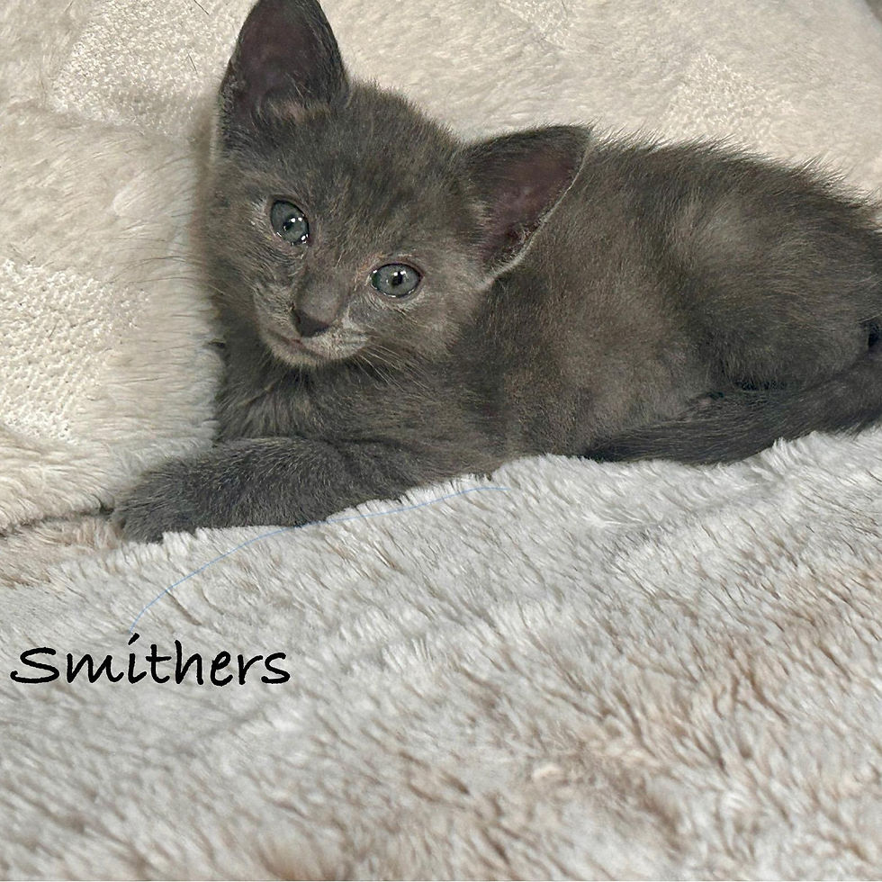Smithers 1