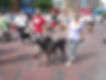 dogs and people.JPEG
