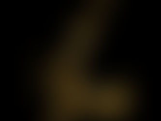 A Year Inside the AI Conversation