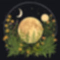 black, moon, stars, herbs.jpg