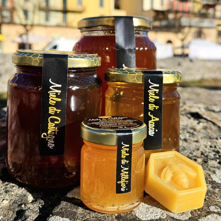 Miele di differenti varietà in vasetto