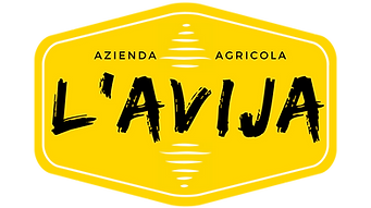 Logo png trasparente.png