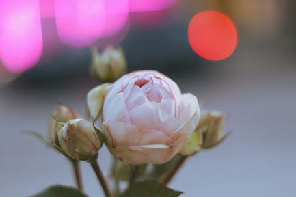 fbe6de7a-79b4-4455-8f6d-b7f6d45d15ce